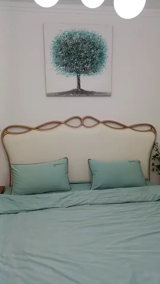 出租房 民宿房这样装修