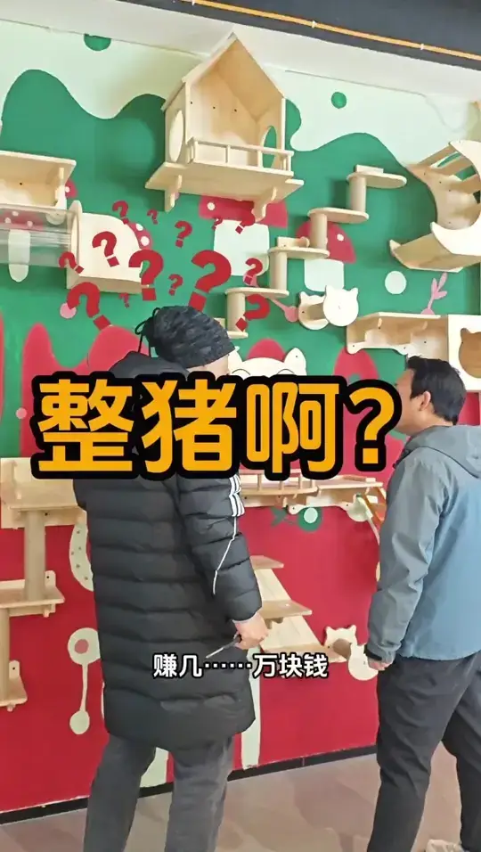 全案落地10万？整猪🐷啊