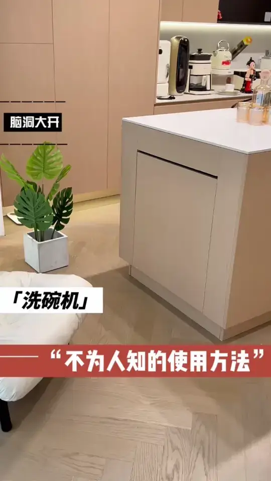 洗碗机还能这么用，装修还能少吗