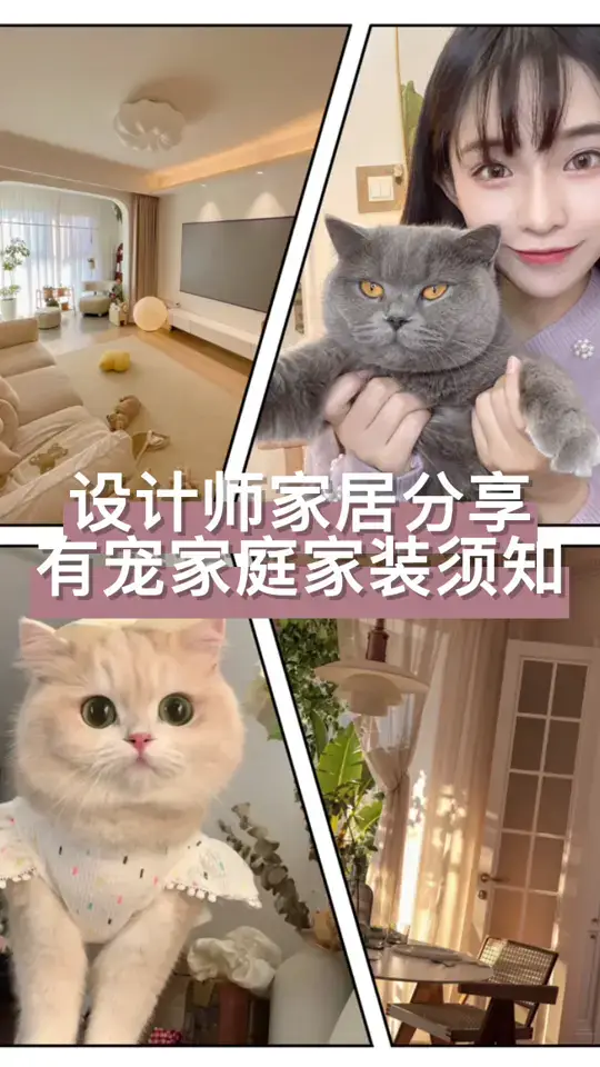 有宠物你还这样装修？？？你家猫同意了吗