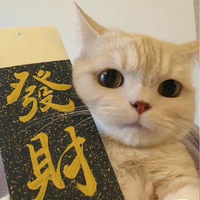 book思议
