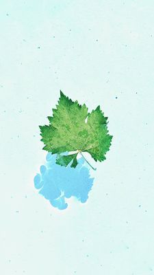 记录生活点滴