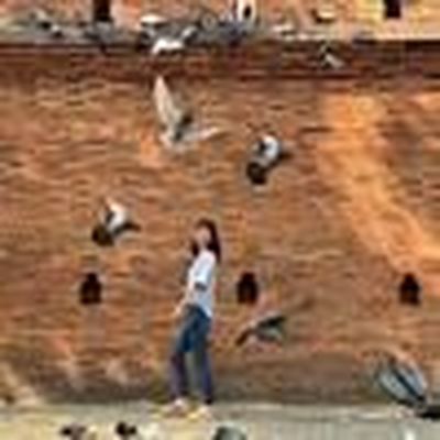 燕子的大板之家