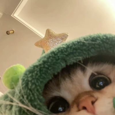 放依凹钓