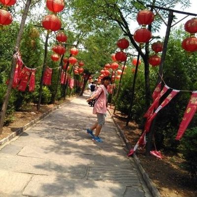容者美家设计
