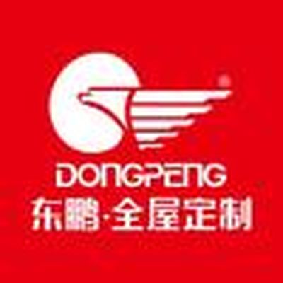 莆田东鹏全屋定制