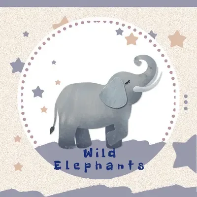 曲阜野象空间装饰设计