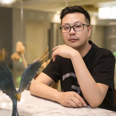 潍坊非著名设计狮