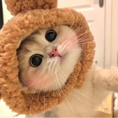 可乐鸡翅真香